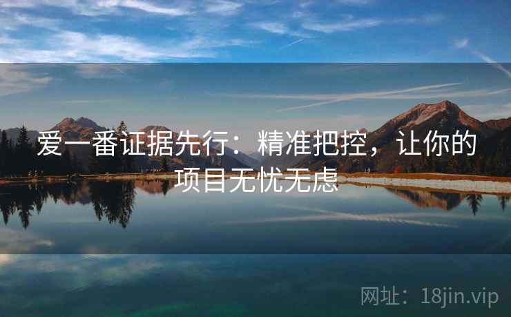 爱一番证据先行:精准把控,让你的项目无忧无虑 第2张 爱一番证据先行:精准把控,让你的项目无忧无虑 第2张