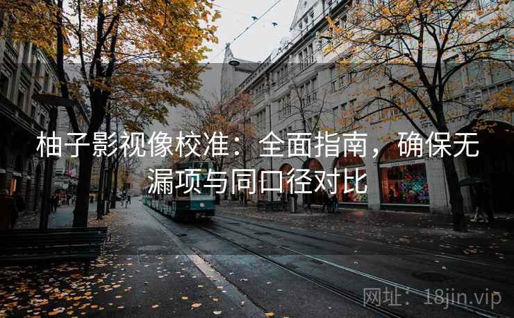 柚子影视像校准:全面指南,确保无漏项与同口径对比 第2张 柚子影视像校准:全面指南,确保无漏项与同口径对比 第2张