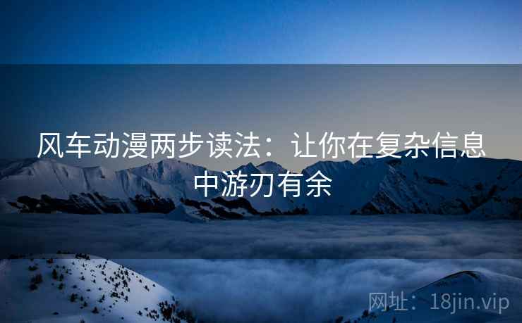 风车动漫两步读法：让你在复杂信息中游刃有余  第2张