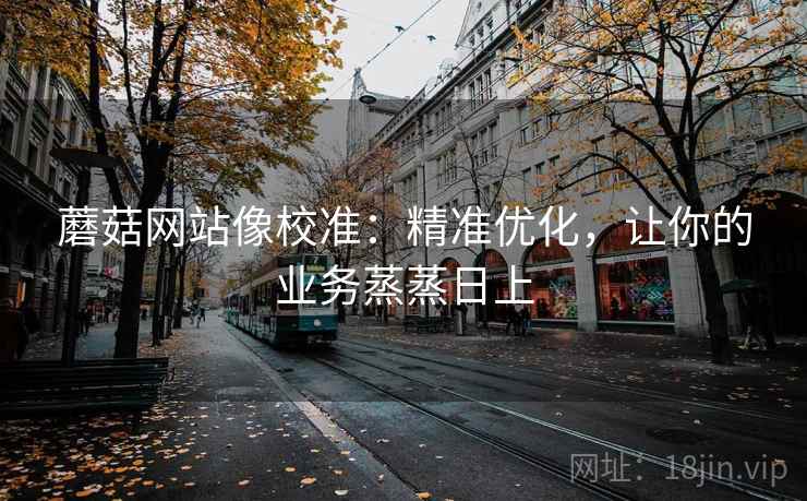 蘑菇网站像校准:精准优化,让你的业务蒸蒸日上 第2张 蘑菇网站像校准:精准优化,让你的业务蒸蒸日上 第2张
